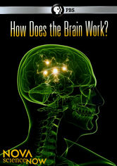 Nova scienceNOW: How Does the Brain Work?