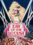 The Day of the Locust