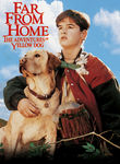 Far From Home: The Adventures of Yellow Dog