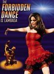 Lambada: The Forbidden Dance poster