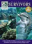 National Wildlife Federation: Wildlife Survivors: Dolphins in Danger / A Tale of Two Turtles