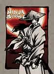 Ninja Scroll: The Series