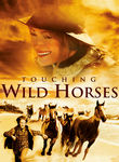Touching Wild Horses