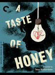 Taste of Honey (1961) poster