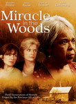 Miracle in the Woods
