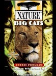 Nature: Big Cats