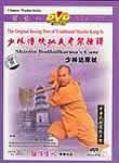 Shaolin Kung Fu: Bodhidharma's Cane