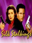 Silk Stalkings: Season 3 (6-Disc Series)