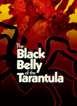 Black Belly of the Tarantula
