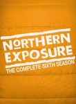 Northern Exposure: Season 6 (5-Disc Series)