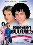 Bosom Buddies: Season 1 (3-Disc Series)