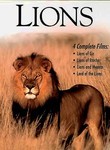 Lions