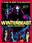 Winter Daydreams poster