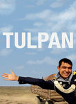 Tulpan