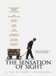 The Sensation of Sight