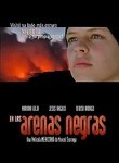 Amor en las alturas poster