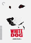 White Dog