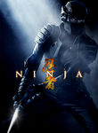 Ninja poster