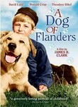 A Dog of Flanders