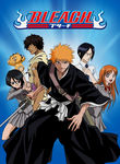 Bleach: Vol. 31: The Arrancar