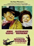 Rooster Cogburn (1975) box art