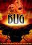 Bug