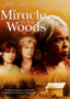 Miracle in the Woods
