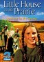 Little House: Journey in the Spring