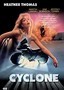 Cyclone