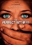 The Perfect Witness
