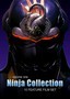 Seventeen Ninja / Hero of Swallow / etc.