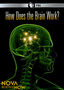 How Does the Brain Work?: Nova scienceNOW